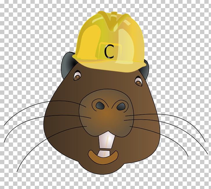 Beaver Horse Cat Kitten Animal PNG, Clipart, Animal, Bear, Beaver, Carnivoran, Cartoon Free PNG Download