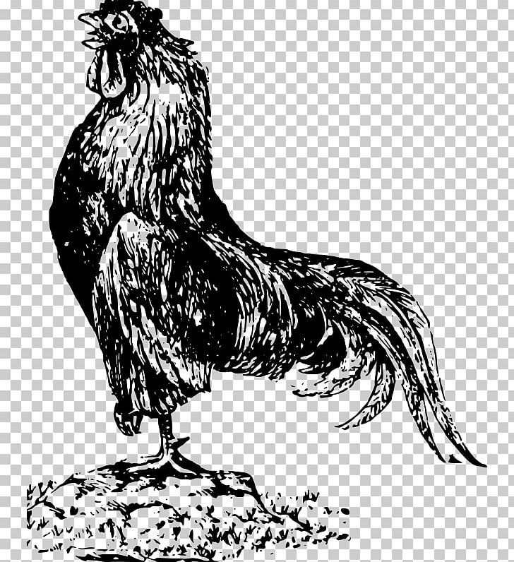 Cochin Chicken Andalusian Chicken Rooster PNG, Clipart, Art, Beak, Bird, Bird Of Prey, Black And White Free PNG Download