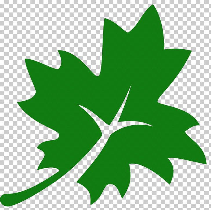 Acer Nigrum Maple Leaf Computer Icons PNG, Clipart, Acer Nigrum, Computer Icons, Flora, Flower, Flowering Plant Free PNG Download