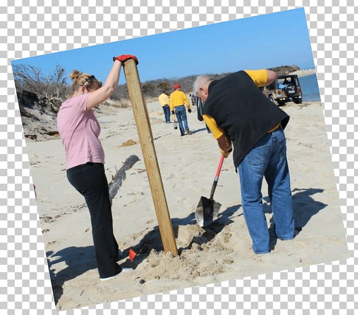 Massachusetts Beach Wood /m/083vt Dune Buggy PNG, Clipart, Beach, Calendar, Committee, Conservation Of Mass, Dune Buggy Free PNG Download