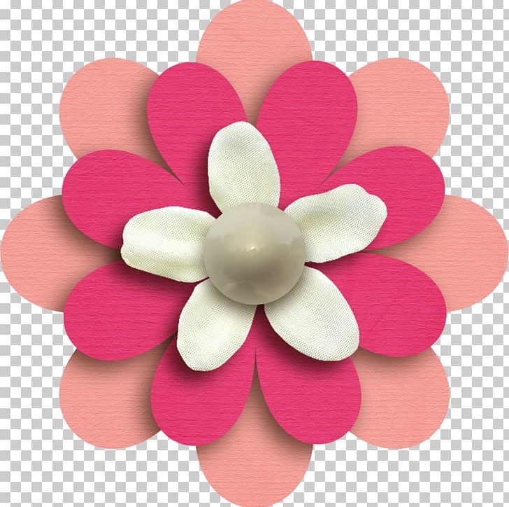 Petal Pink M PNG, Clipart, Flower, Magenta, Miscellaneous, Others, Petal Free PNG Download