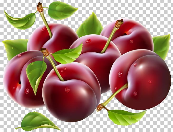 Plum Desktop PNG, Clipart, Acerola, Acerola Family, Apple, Art, Berry Free PNG Download