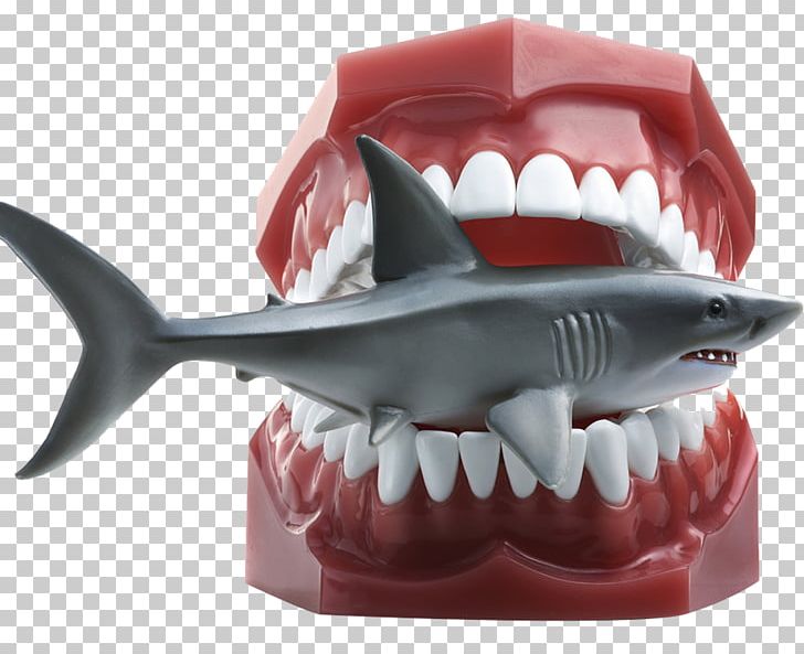 Shark Getty S Stock Photography PNG, Clipart, Animals, Big, Big White Shark, Bite, Cartilaginous Fish Free PNG Download