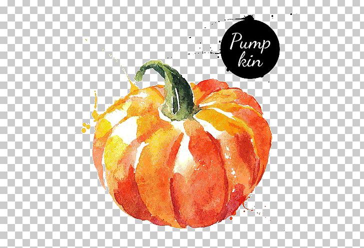 Watercolor Painting Vegetable Drawing PNG, Clipart, Art, Calabaza, Cucurbita, Drawing, Food Free PNG Download