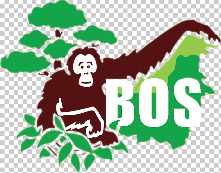 Borneo Orangutan Survival Bornean Orangutan Chimpanzee Samboja Lestari PNG, Clipart, Animal, Bornean Orangutan, Fictional Character, Foundation, Grass Free PNG Download