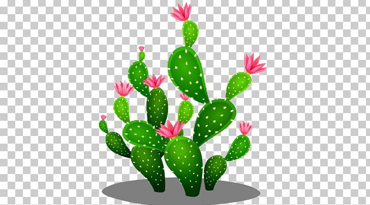 Cactaceae Euclidean Seed PNG, Clipart, Cactus, Cactus Cartoon, Cactus Flower, Cactus Watercolor, Cartoon Cactus Free PNG Download