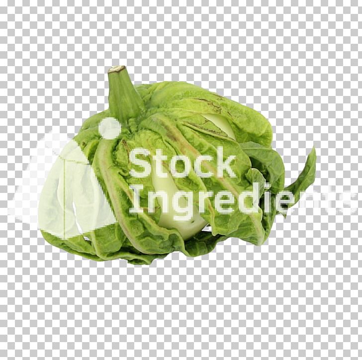 Leaf Vegetable Solanum Macrocarpon Eggplant Cruciferous Vegetables PNG, Clipart, Angle, Cabbage, Cruciferous Vegetables, Degree, Download Free PNG Download