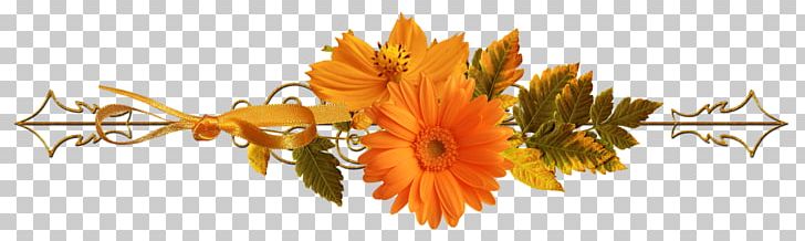 Orange PNG, Clipart, Branch, Computer Wallpaper, Desktop Wallpaper, Download, Flower Free PNG Download