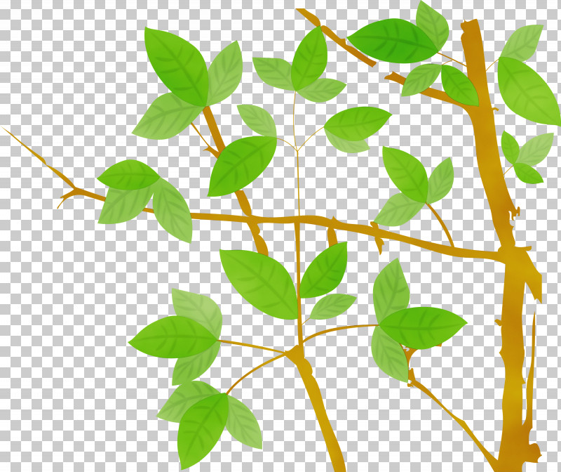 Flower Leaf Plant Plant Stem Tree PNG, Clipart, Branch, Flower, Leaf, Paint, Plant Free PNG Download