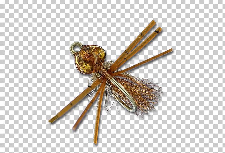 Insect Bitters Brown Metal Fly PNG, Clipart, Animals, Bitters, Bonefish, Bonefishes, Brown Free PNG Download