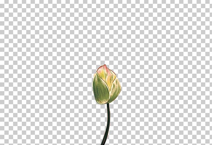 Tulip Cut Flowers Bud Plant Stem Yellow PNG, Clipart, Bud, Chinese, Chinese Style, Cut Flowers, Flower Free PNG Download