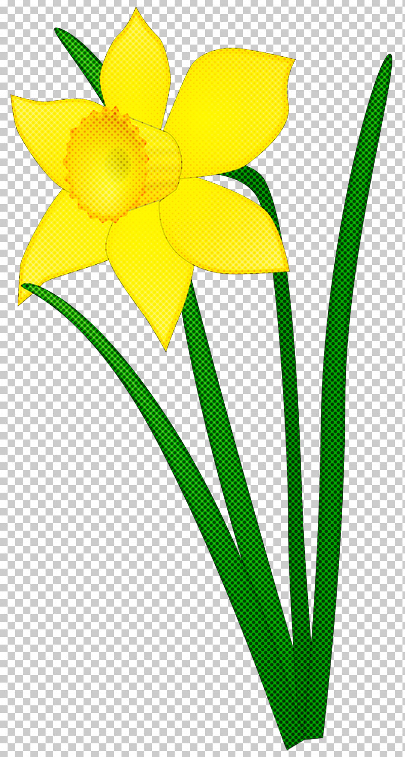 Floral Design PNG, Clipart, Amaryllidaceae, Amaryllis, Cut Flowers, Daffodil, Floral Design Free PNG Download