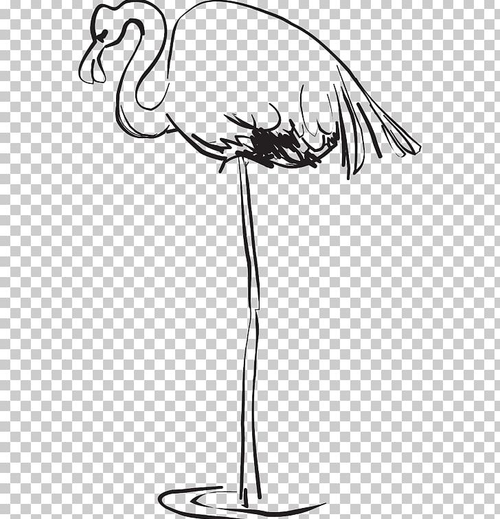 Beak Bird Greater Flamingo PNG, Clipart, Animals, Artwork, Beak, Bird, Bird Art Free PNG Download
