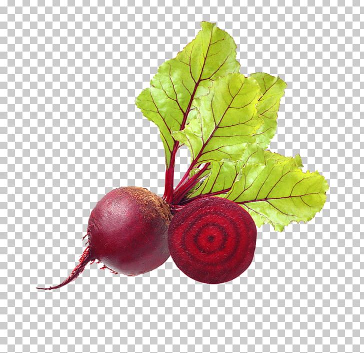 Beetroot Common Beet Vegetable Food Produce PNG, Clipart, Beet, Beetroot, Berry, Business, Carrot Juice Free PNG Download