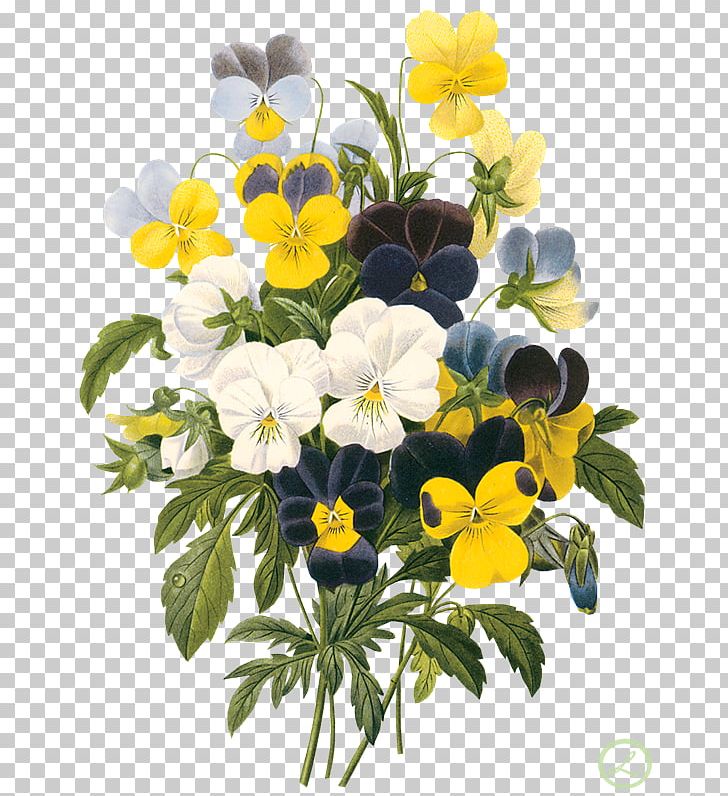 Choix Des Plus Belles Fleurs Floral Design Art Flower PNG, Clipart, Annual Plant, Botanical Illustration, Botany, Choix Des Plus Belles Fleurs, Flower Free PNG Download
