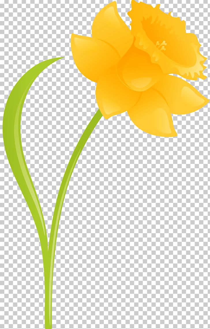 Daffodil Cut Flowers Plant Amaryllis PNG, Clipart, Amaryllis, Amaryllis Family, Cut Flowers, Daffodil, Diary Free PNG Download
