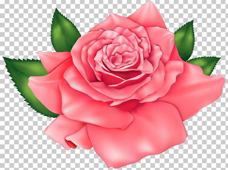 Rose Pink PNG, Clipart, Camellia, China Rose, Computer Icons, Cut Flowers, Floral Design Free PNG Download