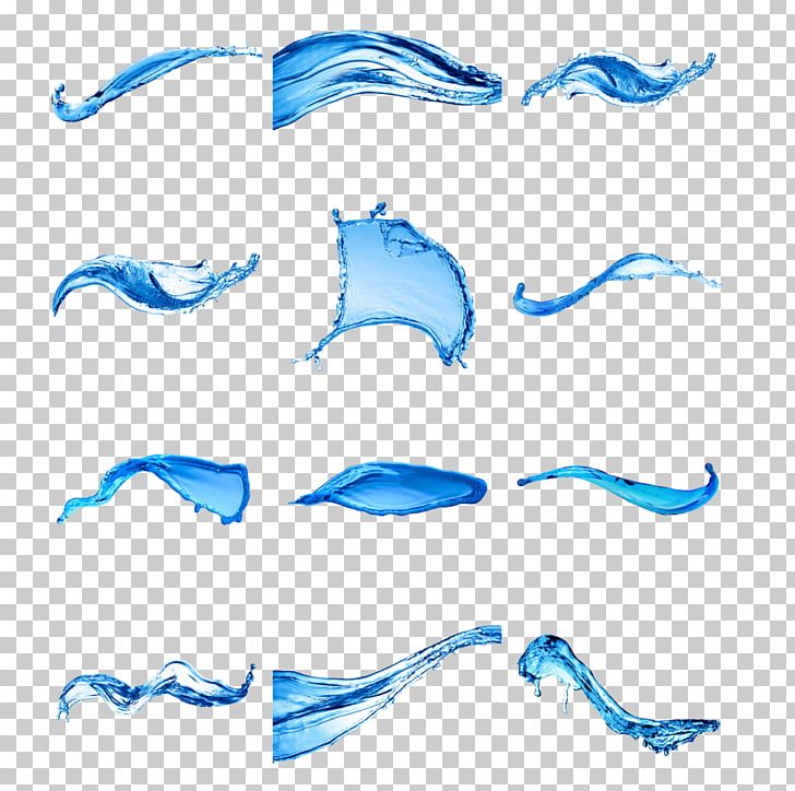 Blue Angle Marine Mammal PNG, Clipart, Angle, Area, Blue, Decorative Elements, Download Free PNG Download