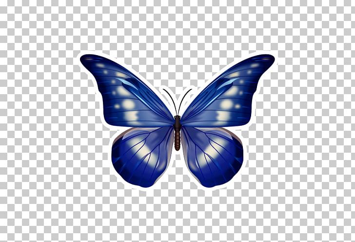 Butterfly Blue Morpho Menelaus Morpho Helena Pattern PNG, Clipart, Arthropod, Blue, Blue Morpho, Brush Footed Butterfly, Butterfly Free PNG Download
