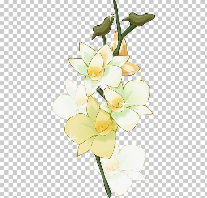 Floral Design Flower PNG, Clipart, Bellossom, Blossom, Branch, Cut Flowers, Daffodil Free PNG Download