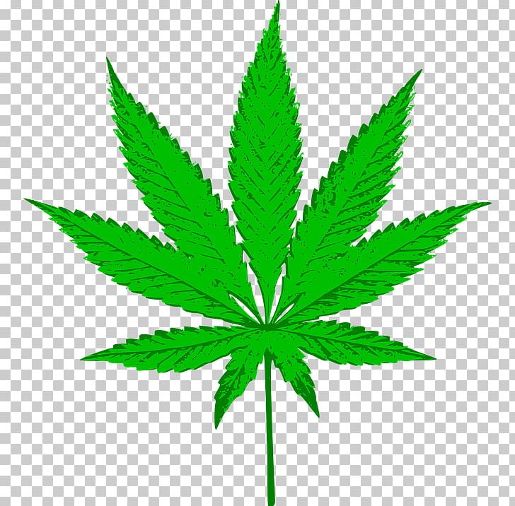 Hash PNG, Clipart, Cannabis, Cannabis Planet, Cannabis Png, Cannabis Smoking, Canopy Growth Corporation Free PNG Download