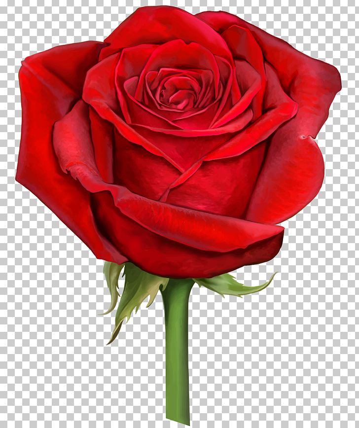 Rose Scalable Graphics Computer File PNG, Clipart, Artificial Flower, Blue Rose, Clipart, Color, Cut Flowers Free PNG Download
