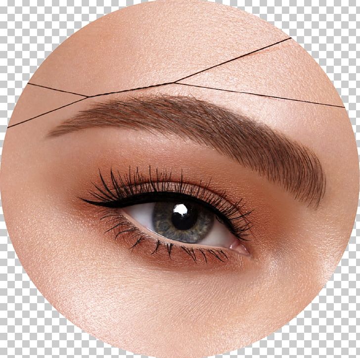 Eyelash Extensions Eyebrow Beauty Parlour Hair Threading PNG, Clipart, Beauty, Beauty Parlour, Brown, Cheek, Chin Free PNG Download