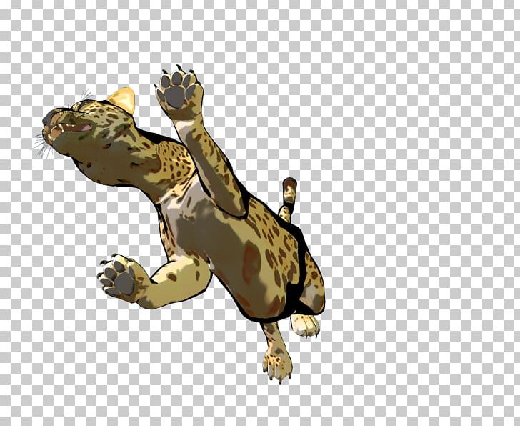 Tortoise Turtle Amphibian Terrestrial Animal PNG, Clipart, Amphibian, Animal, Animals, Fauna, Organism Free PNG Download