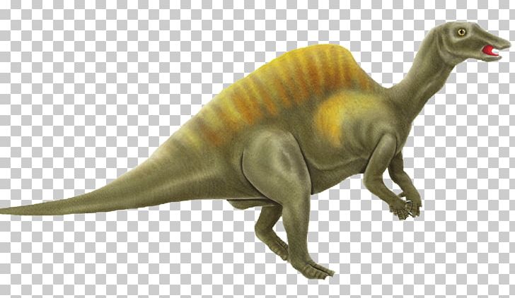 Tyrannosaurus Dinosaur S Triceratops PNG, Clipart, Animal, Animal Figure, Desktop Wallpaper, Dinosaur, Dinosaur Pictures Free PNG Download