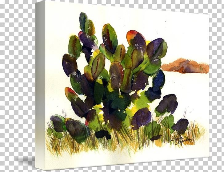 Cactaceae Watercolor Painting Kind Printmaking PNG, Clipart, Abstract Art, Aquarium Decor, Art, Art Museum, Cactaceae Free PNG Download