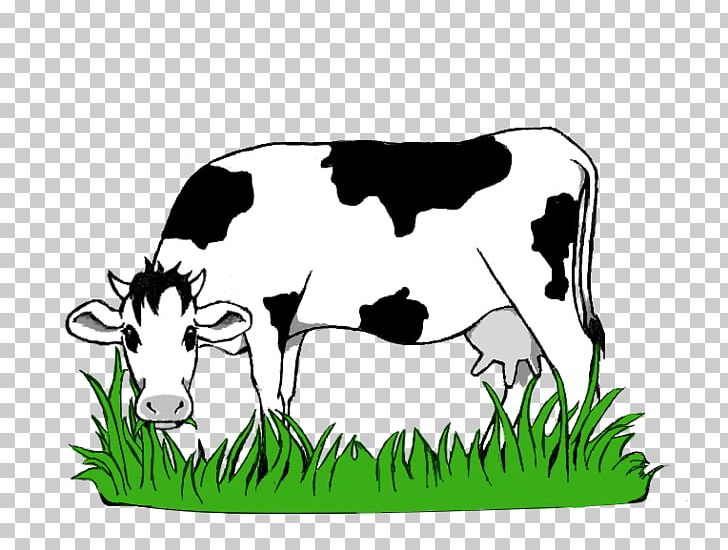 Dairy Cattle Kereman Cattle Ox Texas Longhorn PNG, Clipart, Animals, Cartoon, Cattle, Cattle Like Mammal, Clipart Free PNG Download
