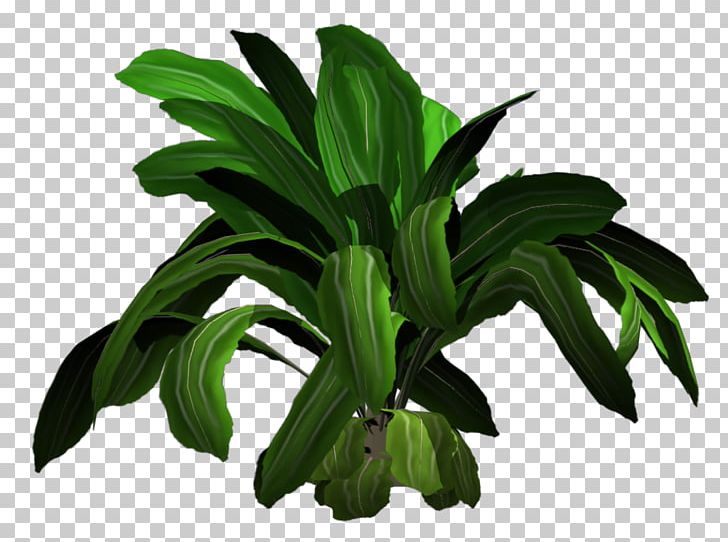 Plant 3D Computer Graphics Tejidos Vegetales Tree PNG, Clipart, 3d Computer Graphics, Blender, Cell, Evergreen, Flowering Plant Free PNG Download