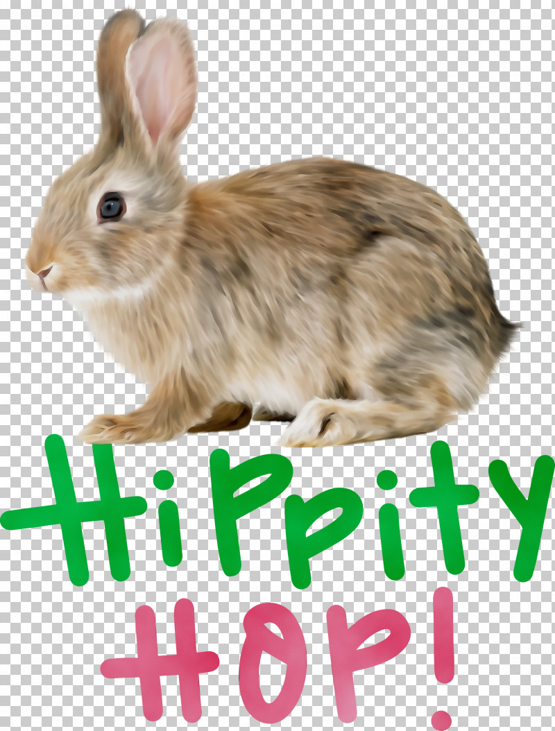 Hare Whiskers Rabbit Tail PNG, Clipart, Happy Easter, Hare, Hippity Hop, Paint, Rabbit Free PNG Download