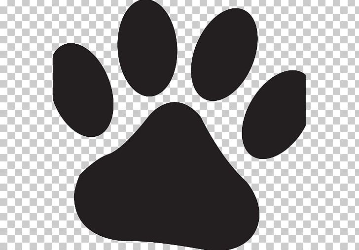 Cat Dog Veterinarian Pet PNG, Clipart, Animal, Animal Rights, Animals, Black, Black And White Free PNG Download