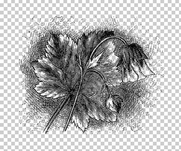 Drawing Black And White Monochrome Photography Visual Arts PNG, Clipart, Art, Artwork, Black, Black And White, Drawing Free PNG Download