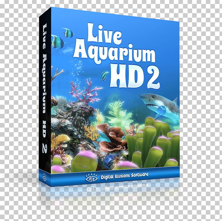 Ecosystem Organism PNG, Clipart, Ecosystem, Organism, Reef Aquarium Free PNG Download