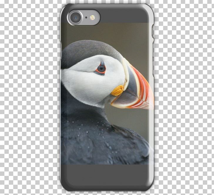 IPhone 4S IPhone 7 IPhone 5s IPhone X PNG, Clipart, App Store, Auk, Beak, Bird, Charadriiformes Free PNG Download