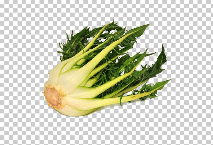 Puntarelle Vegetarian Cuisine Chicory Chard Endive PNG, Clipart, Chard, Chicory, Choy Sum, Endive, Fennel Free PNG Download