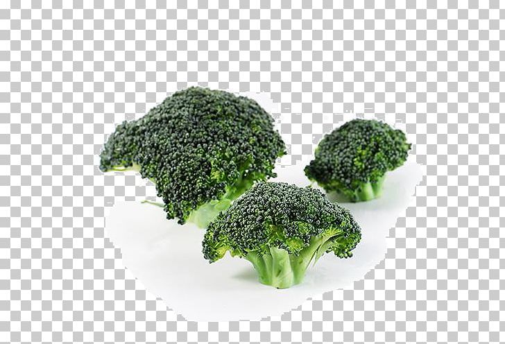 Broccoli Encapsulated PostScript Adobe Illustrator PNG, Clipart, Broccoli, Download, Encapsulated Postscript, Flowerpot, Fresh Free PNG Download