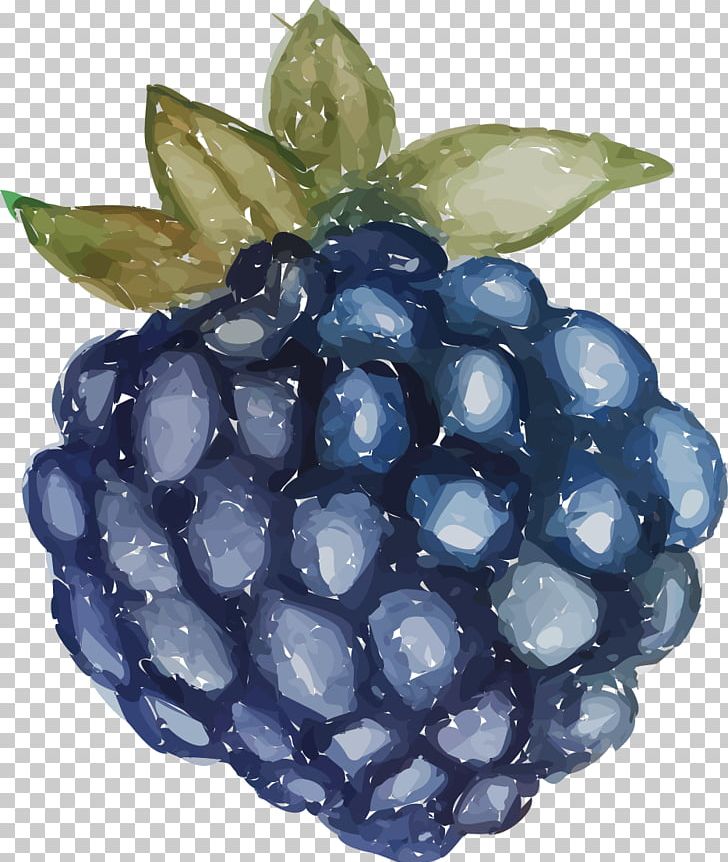 Grape Euclidean PNG, Clipart, Berry, Bilberry, Blackberry, Black Grapes, Blueberry Free PNG Download