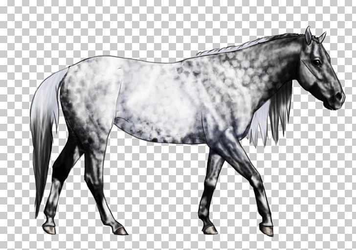 Mane Mustang Stallion Mare Rein PNG, Clipart, Bit, Black And White, Bridle, Halter, Horse Free PNG Download