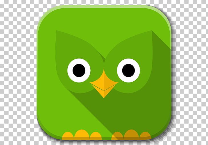 Owl Yellow Font PNG, Clipart, Application, Apps, Beak, Bird, Bird Of Prey Free PNG Download