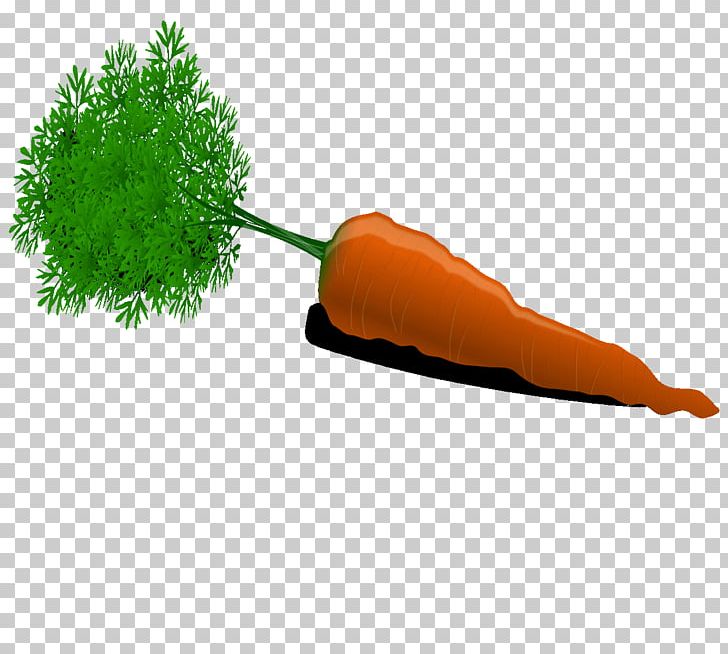 Carrot Auglis Animaatio PNG, Clipart, Animaatio, Art, Auglis, Avocado, Carrot Free PNG Download
