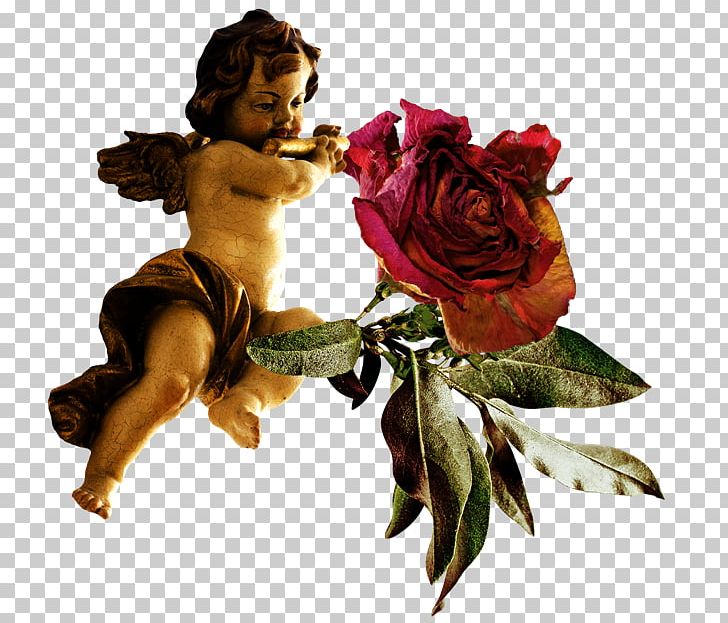 Garden Roses Angel 2403 (عدد) Makhluk PNG, Clipart, 2016, 2018, Angel, Author, Christmas Free PNG Download