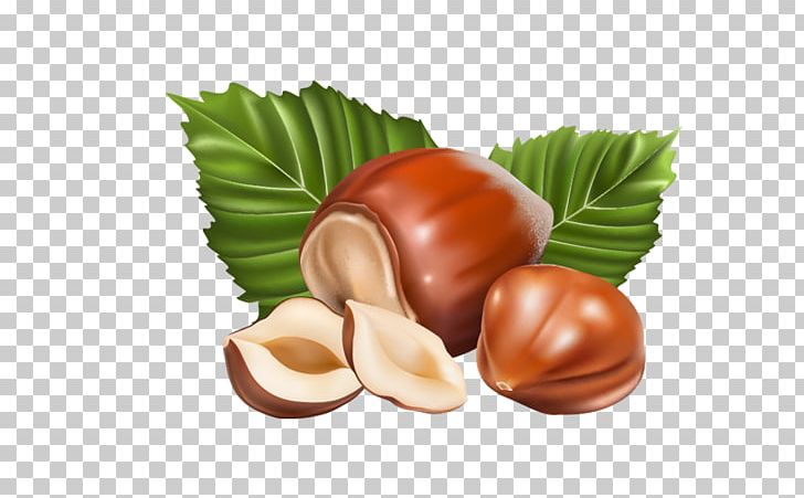 Graphics Hazelnut PNG, Clipart, Acorn, Chestnut, Chocolate Spread, Commodity, Diet Food Free PNG Download