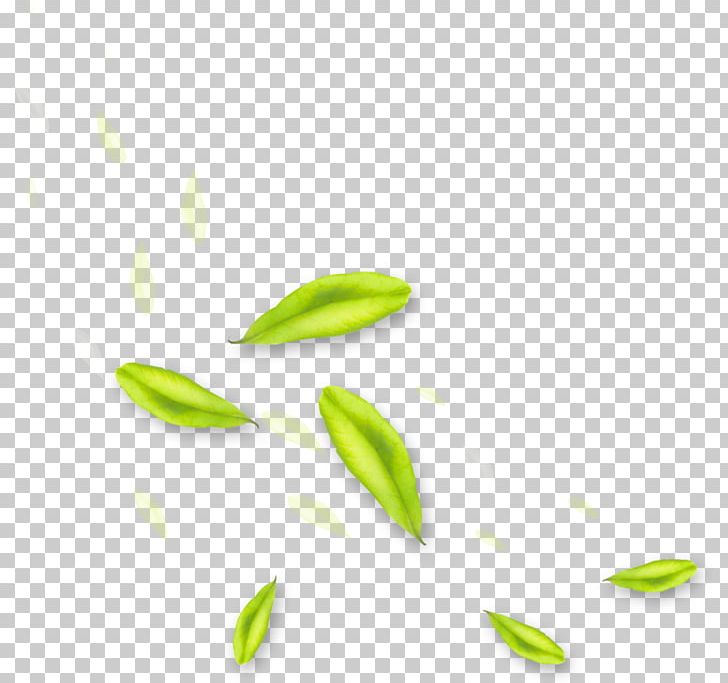 Green Desktop Computer Leaf PNG, Clipart, Computer, Computer Wallpaper, Desktop Wallpaper, Green, Leaf Free PNG Download