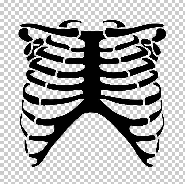 Rib Cage Human Skeleton Skull Bone PNG, Clipart, Angle, Black And White, Cage, Cervical Vertebrae, Fantasy Free PNG Download