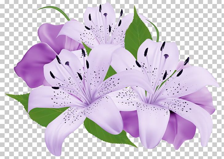 Flower Purple PNG, Clipart, Clipart, Clip Art, Color, Cut Flowers, Desktop Wallpaper Free PNG Download