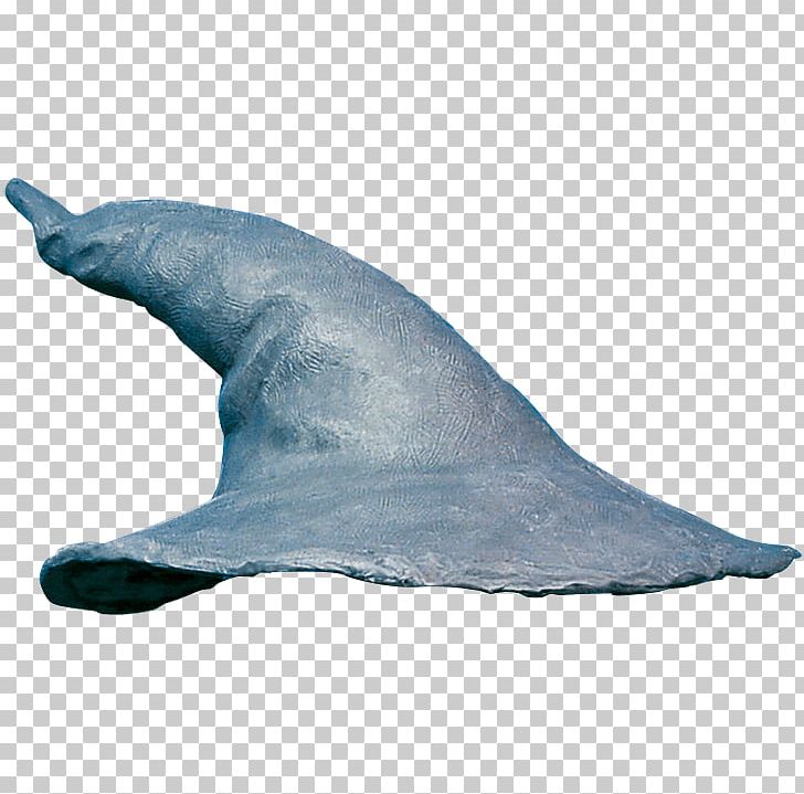 Gandalf The Lord Of The Rings The Hobbit Hat PNG, Clipart, Clothing, Clothing Accessories, Common Bottlenose Dolphin, Costume, Dolphin Free PNG Download