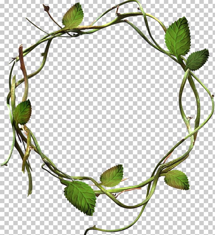 Leaf Photography Branch PNG, Clipart, Art Green, Branch, Circle, Clip Art, Computer Icons Free PNG Download